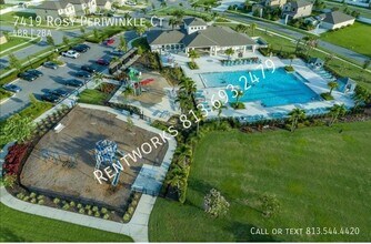 7419 Rosy Periwinkle Ct in Tampa, FL - Building Photo - Building Photo