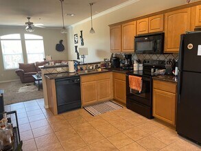 305 Holleman Dr E in College Station, TX - Foto de edificio - Building Photo