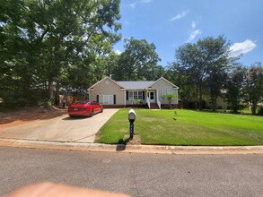 428 Firebridge Dr in Chapin, SC - Building Photo - Building Photo