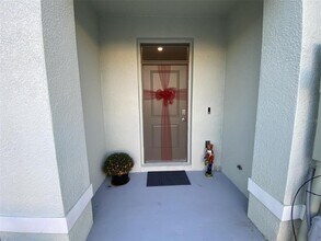 261 Royal Spoonbill Drive in Ruskin, FL - Building Photo - Building Photo