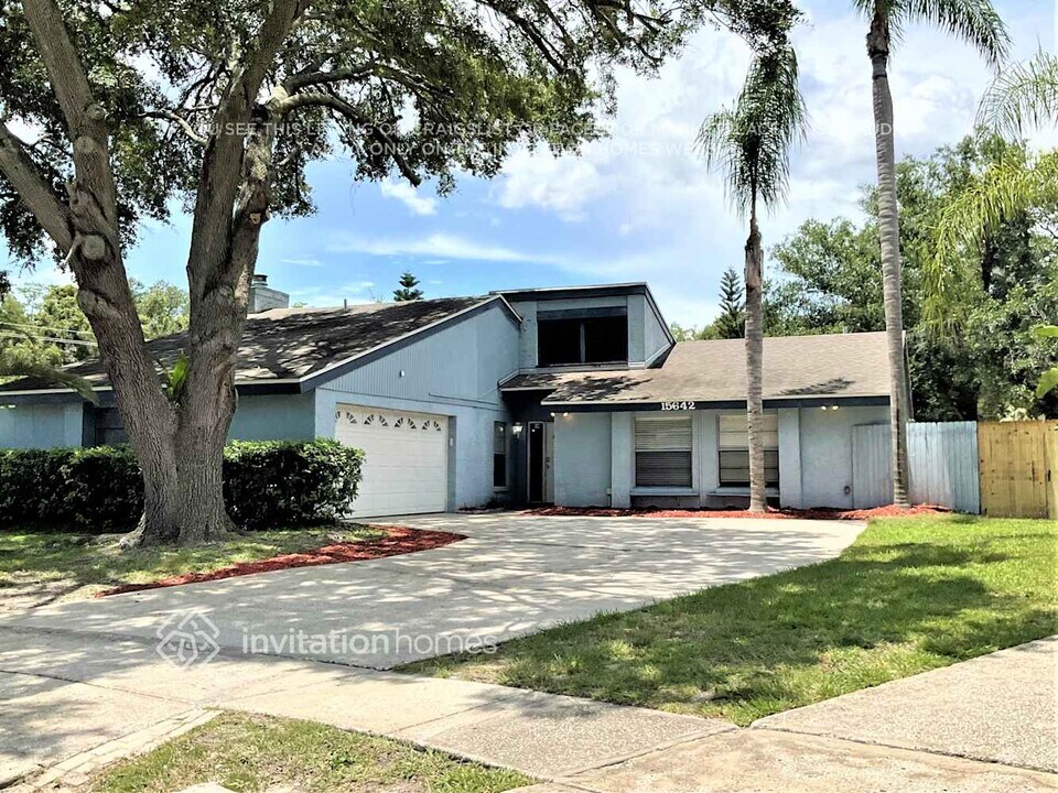 15642 Bear Creek Dr in Tampa, FL - Building Photo