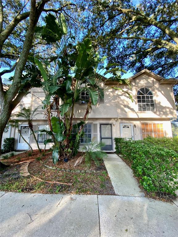2267 Fletchers Point Cir in Tampa, FL - Foto de edificio - Building Photo