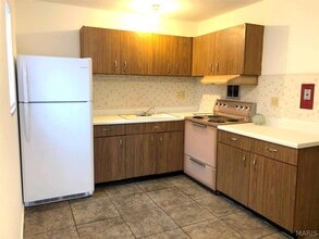 229 S Church St in Belleville, IL - Building Photo - Building Photo