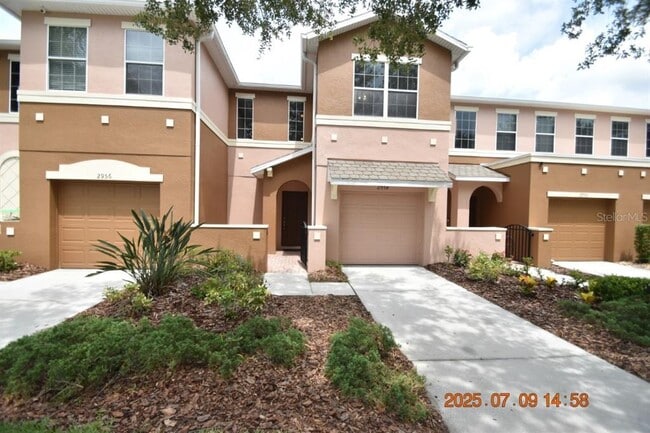 2954 Birchcreek Dr in Wesley Chapel, FL - Building Photo - Building Photo