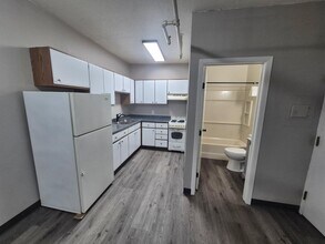 301 N Riverfront Dr in Mankato, MN - Foto de edificio - Building Photo