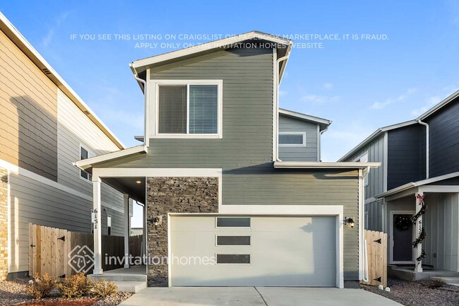 6151 Yellowthroat Ter