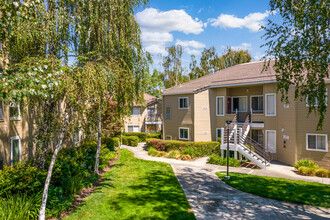 Arcadian in Concord, CA - Foto de edificio - Building Photo