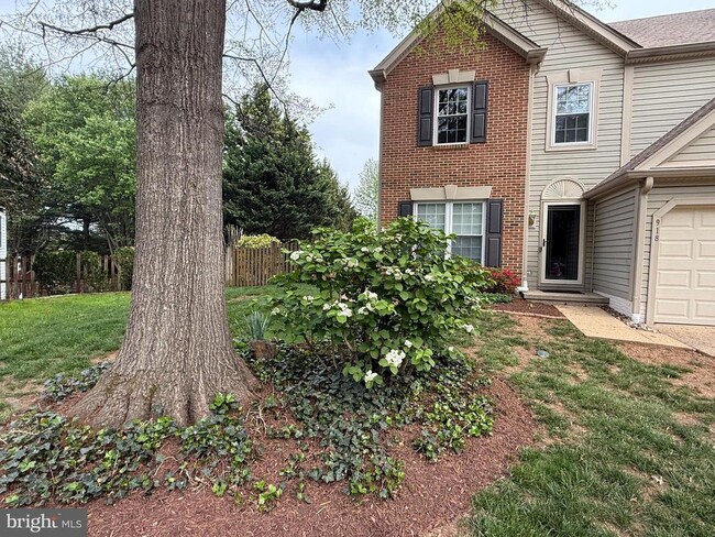 918 Catoctin Cir NE in Leesburg, VA - Building Photo - Building Photo