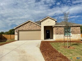447 Butterfly Bush Ct in New Braunfels, TX - Building Photo