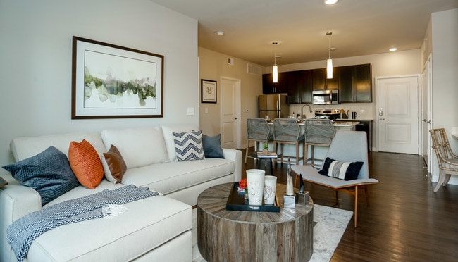 Falcon at Grand Harbor