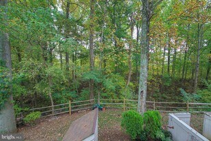 15285 Flintlock Terrace in Woodbridge, VA - Building Photo