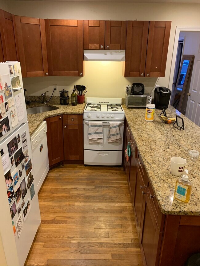 62 Egmont, Unit 1 in Brookline, MA - Building Photo - Building Photo