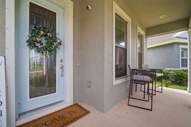 6396 Roadstead Ct in Apollo Beach, FL - Building Photo - Building Photo