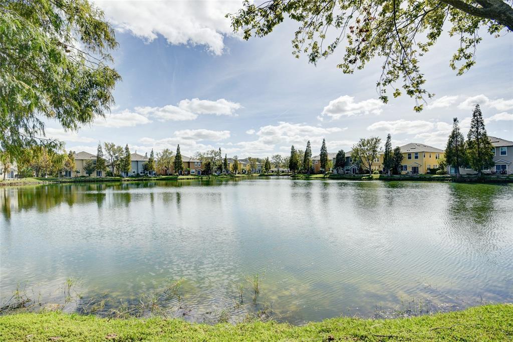 8845 Moonlit Meadows Loop in Riverview, FL - Building Photo