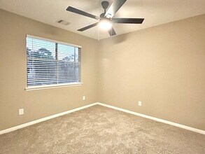 14326 Little Willow Walk in Houston, TX - Building Photo - Building Photo