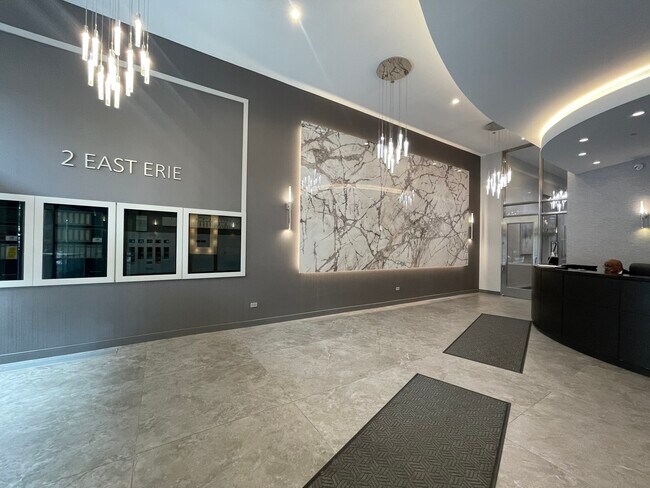 2 E Erie St in Chicago, IL - Building Photo - Building Photo