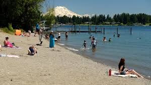 10708 102nd St SW in Tacoma, WA - Building Photo - Building Photo