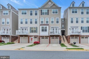 21723 Indian Summer Terrace in Sterling, VA - Building Photo