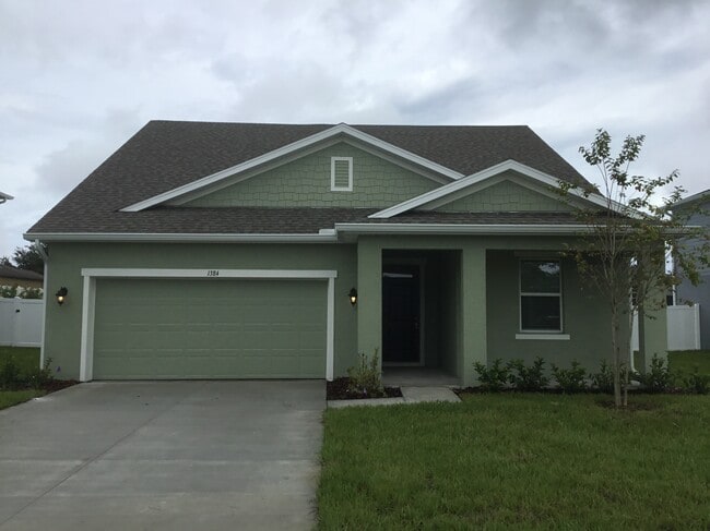 property at 1384 Celery Palm Cove