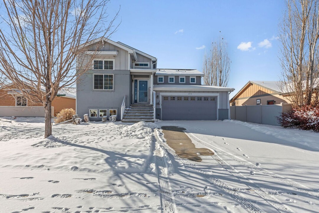 153 Brass Ct in Loveland, CO - Building Photo