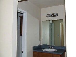 132 Chambers Creek Cir in Maypearl, TX - Building Photo - Building Photo