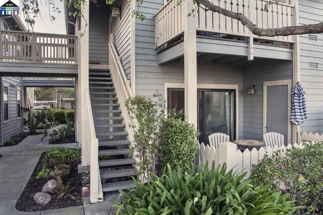 213 Lakeshore Ct in Richmond, CA - Building Photo - Building Photo