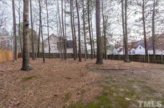 200 Onondaga Ct in Holly Springs, NC - Building Photo - Building Photo