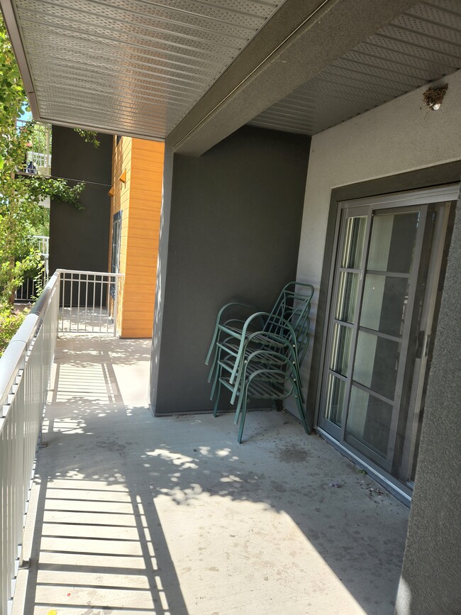 507 Albany Way NW in Edmonton, AB - Building Photo - Building Photo