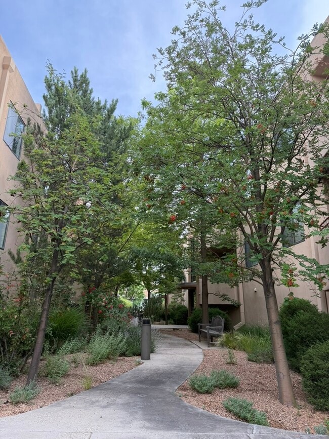 814 Cam De Monte Rey in Santa Fe, NM - Building Photo - Building Photo