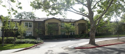 Sycamore Place in Danville, CA - Building Photo - Building Photo