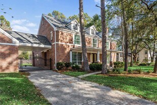 14102 Champions Hamlet Ct in Houston, TX - Building Photo