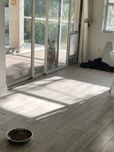 5780 Osprey Rd in Venice, FL - Building Photo - Building Photo