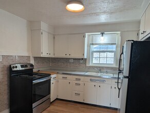 281 E North End Ave in Elmhurst, IL - Building Photo - Building Photo