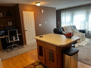 1209 SE Village View Ln in Ankeny, IA - Building Photo - Building Photo