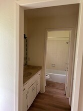 3203 Palo Duro Ct in Georgetown, TX - Building Photo - Building Photo