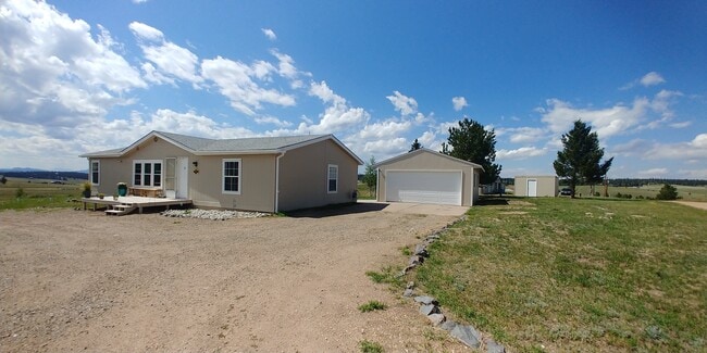 333 Longbow Dr E in Divide, CO - Building Photo - Building Photo