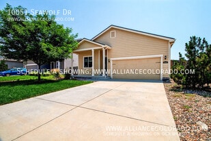 10051 Seawolf Dr in Colorado Springs, CO - Building Photo
