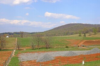 4577 Stony Point Rd in Barboursville, VA - Building Photo - Building Photo