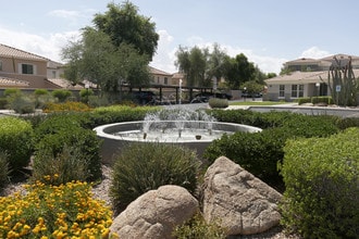 The Groves in Mesa, AZ - Foto de edificio - Building Photo