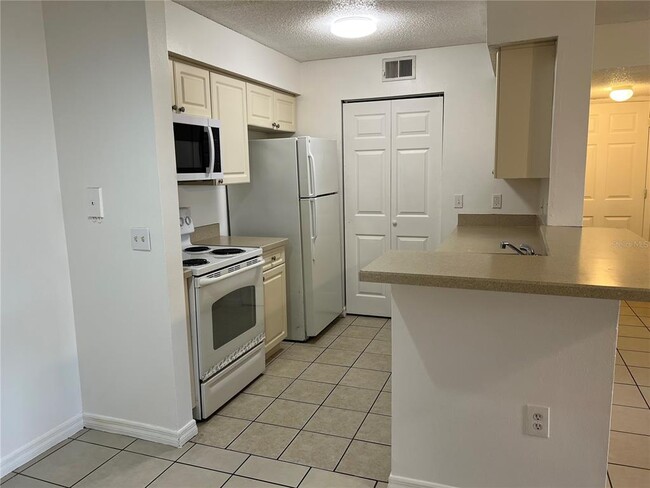 1226 Bermuda Lakes Ln in Kissimmee, FL - Building Photo - Building Photo