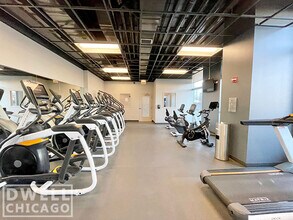 216 N Canal St, Unit 2 in Chicago, IL - Building Photo - Building Photo