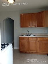 3943 Schiller Pl in St. Louis, MO - Building Photo - Building Photo