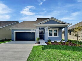 6377 Atlantic Bch Ave in Wesley Chapel, FL - Building Photo