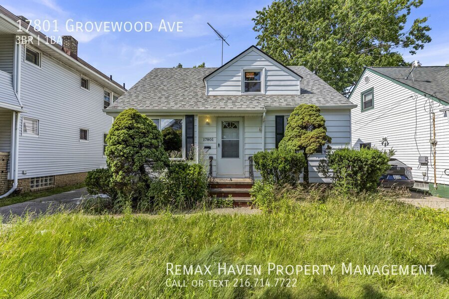 17801 Grovewood Ave in Cleveland, OH - Building Photo