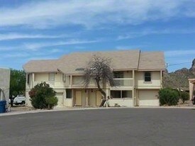 6098 S Borego Rd in Gold Canyon, AZ - Building Photo
