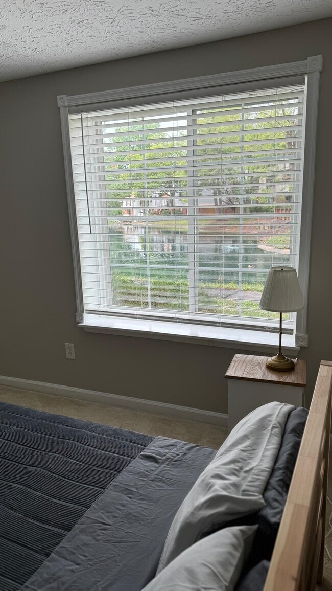 8382 Brockham Dr, Unit A in Alexandria, VA - Building Photo - Building Photo