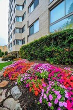 922 24th St NW in Washington, DC - Foto de edificio - Building Photo