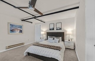 49 Zoe St in San Francisco, CA - Building Photo