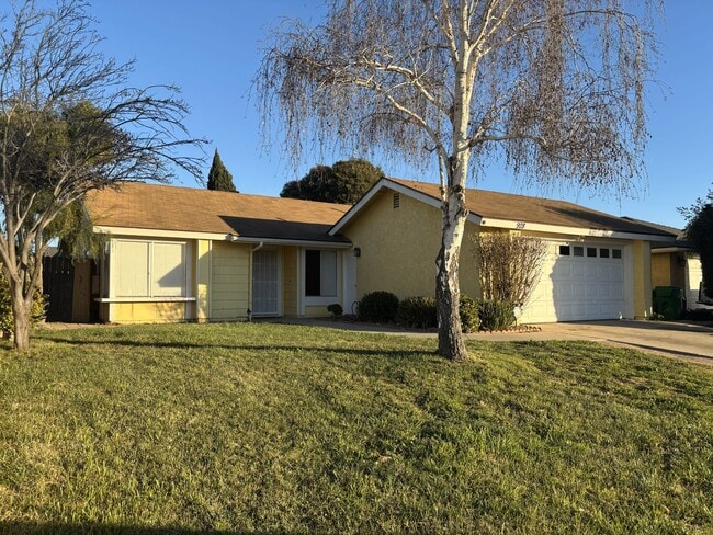 property at 928 Grapevine Rd