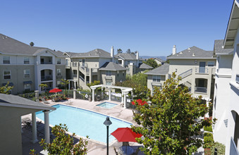 Catalina Luxury Apartments in Santa Clara, CA - Building Photo - Building Photo